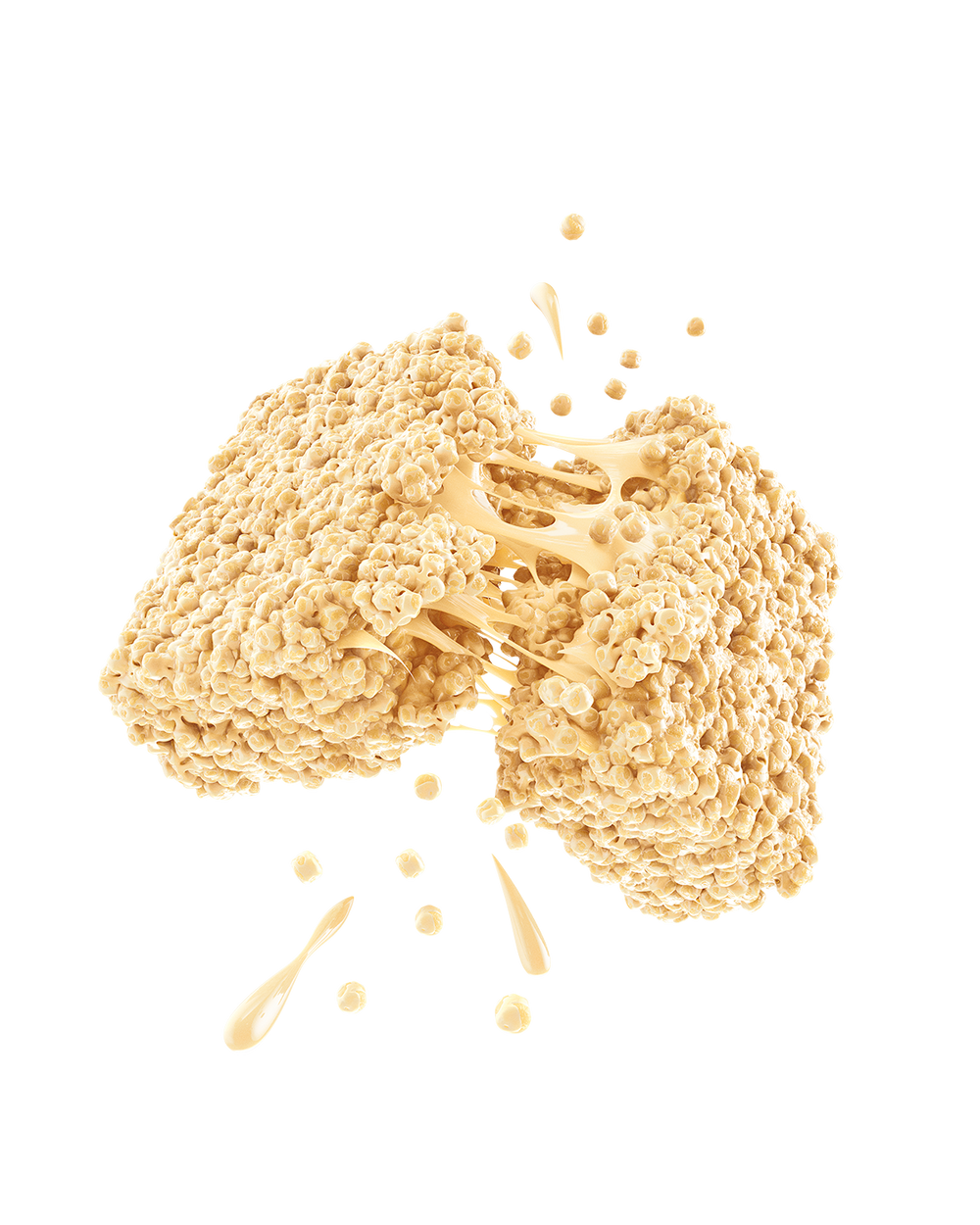 Promix Protein Puff Bars - 12 Pack Vanilla