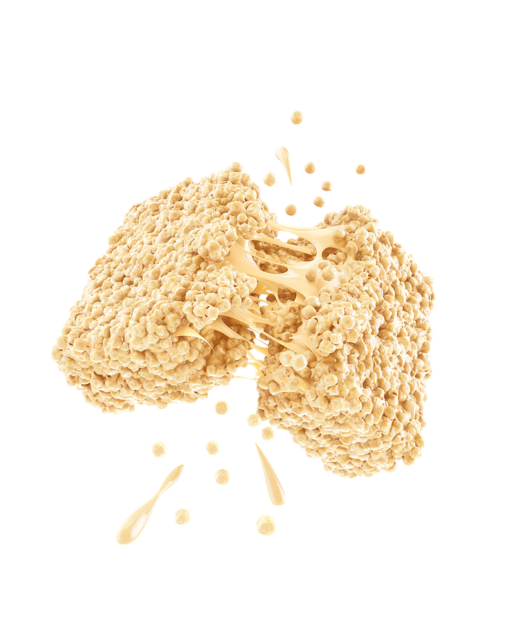 Promix Protein Puff Bars - 12 Pack Vanilla